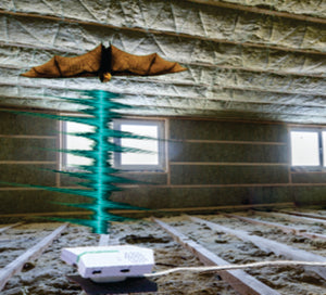 Using ET Pest Control in an Attic